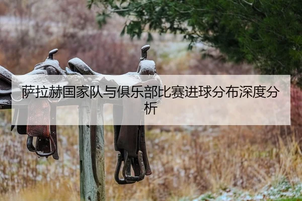 萨拉赫国家队与俱乐部比赛进球分布深度分析
